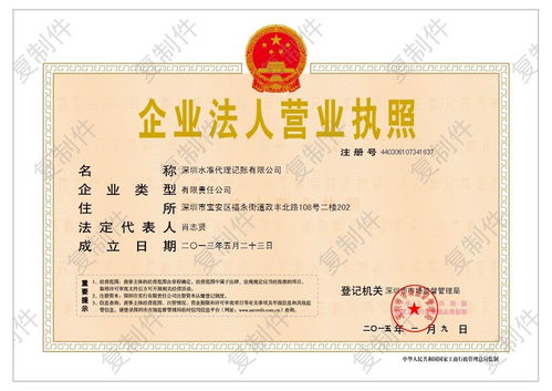 深圳水準代理記賬 企業合規與發展的專業伙伴